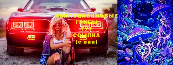 соль ск Михайлов