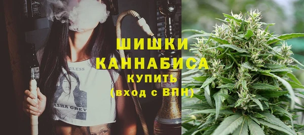 ГАЛЛЮЦИНОГЕННЫЕ ГРИБЫ Михайловка
